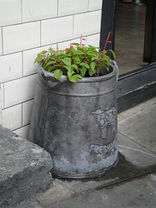 20160825_SAM_8035_ES71